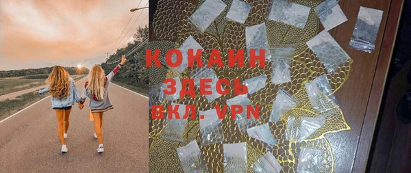 сатива Арсеньев