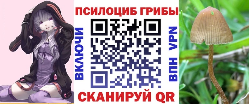 Псилоцибиновые грибы мухоморы  mega   Черкесск 